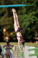 Thumbnail - Schweiz - Diving Sports - 2021 - International Diving Meet Graz - Participants 03041_14137.jpg