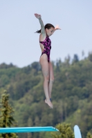 Thumbnail - Schweiz - Tuffi Sport - 2021 - International Diving Meet Graz - Participants 03041_14430.jpg