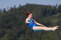 Thumbnail - Schweiz - Прыжки в воду - 2021 - International Diving Meet Graz - Participants 03041_14675.jpg