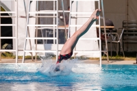 Thumbnail - Schweiz - Diving Sports - 2021 - International Diving Meet Graz - Participants 03041_14704.jpg