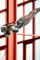 Thumbnail - Girls A - Cara Albiez - Diving Sports - 2022 - ÖHM Wien - Participants - Austria 03044_02654.jpg