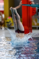 Thumbnail - Participants - Diving Sports - 2022 - ÖHM Wien 03044_05693.jpg
