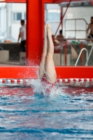 Thumbnail - Girls A - Lara El Batt - Прыжки в воду - 2022 - ÖHM Wien - Participants - Schweiz 03044_10127.jpg