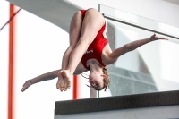 Thumbnail - Girls B - Anni Szabó - Diving Sports - 2022 - ÖHM Wien - Participants - Ungarn 03044_12497.jpg