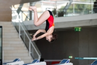Thumbnail - Girls D - Ruth - Diving Sports - 2022 - Springmeet Graz - Participants - Austria 03047_01931.jpg