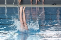 Thumbnail - Girls D - Hanna - Diving Sports - 2022 - Springmeet Graz - Participants - Austria 03047_02180.jpg