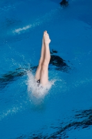 Thumbnail - Boys C - Konstantin - Прыжки в воду - 2022 - Springmeet Graz - Participants - Austria 03047_02795.jpg