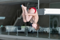 Thumbnail - Boys C - Erik - Прыжки в воду - 2022 - Springmeet Graz - Participants - Austria 03047_02996.jpg