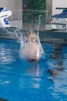 Thumbnail - Boys D - Oskar - Прыжки в воду - 2022 - Springmeet Graz - Participants - Austria 03047_05066.jpg