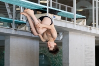 Thumbnail - Boys D - Nicolas - Прыжки в воду - 2022 - Springmeet Graz - Participants - Austria 03047_05082.jpg