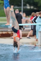 Thumbnail - Girls - Wasserspringen - 2022 - Österr. Staatsmeisterschaft - Teilnehmer 03049_00356.jpg