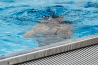 Thumbnail - Boys D - Kian - Прыжки в воду - 2022 - Österr. Staatsmeisterschaft - Participants - Boys 03049_03631.jpg
