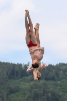 Thumbnail - Synchronized Diving - Diving Sports - 2022 - Österr. Staatsmeisterschaft 03049_03795.jpg