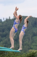 Thumbnail - 2022 - Österr. Staatsmeisterschaft - Diving Sports 03049_03981.jpg