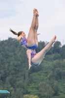 Thumbnail - 2022 - Österr. Staatsmeisterschaft - Diving Sports 03049_03990.jpg