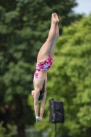 Thumbnail - 2022 - Österr. Staatsmeisterschaft - Diving Sports 03049_04191.jpg