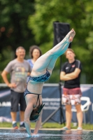 Thumbnail - 2022 - Österr. Staatsmeisterschaft - Diving Sports 03049_04515.jpg