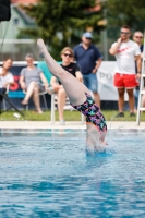 Thumbnail - 2022 - Österr. Staatsmeisterschaft - Diving Sports 03049_05169.jpg