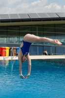 Thumbnail - 2022 - Österr. Staatsmeisterschaft - Diving Sports 03049_05211.jpg