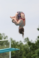 Thumbnail - 2022 - Österr. Staatsmeisterschaft - Diving Sports 03049_05262.jpg