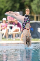 Thumbnail - 2022 - Österr. Staatsmeisterschaft - Diving Sports 03049_05265.jpg