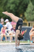 Thumbnail - 2022 - Österr. Staatsmeisterschaft - Diving Sports 03049_05355.jpg