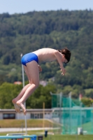 Thumbnail - Boys D - Clemens - Прыжки в воду - 2022 - Österr. Staatsmeisterschaft - Participants - Boys 03049_07217.jpg