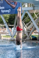 Thumbnail - 2022 - Österr. Staatsmeisterschaft - Diving Sports 03049_08432.jpg