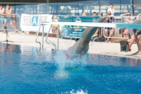 Thumbnail - 2022 - Österr. Staatsmeisterschaft - Plongeon 03049_09410.jpg