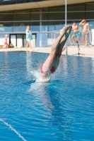 Thumbnail - 2022 - Österr. Staatsmeisterschaft - Diving Sports 03049_09428.jpg