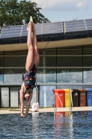 Thumbnail - 2022 - Österr. Staatsmeisterschaft - Diving Sports 03049_09596.jpg