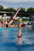 Thumbnail - 2022 - Österr. Staatsmeisterschaft - Diving Sports 03049_10176.jpg