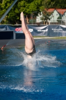 Thumbnail - 2022 - Österr. Staatsmeisterschaft - Diving Sports 03049_10477.jpg