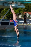 Thumbnail - 2022 - Österr. Staatsmeisterschaft - Diving Sports 03049_10509.jpg