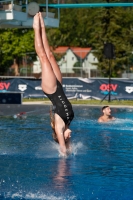 Thumbnail - 2022 - Österr. Staatsmeisterschaft - Diving Sports 03049_10538.jpg