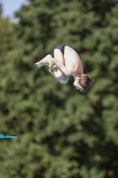 Thumbnail - 2022 - Österr. Staatsmeisterschaft - Diving Sports 03049_10594.jpg