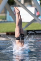 Thumbnail - 2022 - Österr. Staatsmeisterschaft - Diving Sports 03049_10612.jpg