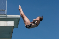 Thumbnail - 2022 - Österr. Staatsmeisterschaft - Diving Sports 03049_12090.jpg