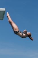 Thumbnail - 2022 - Österr. Staatsmeisterschaft - Diving Sports 03049_12091.jpg