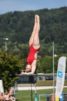 Thumbnail - 2022 - Österr. Staatsmeisterschaft - Diving Sports 03049_12222.jpg