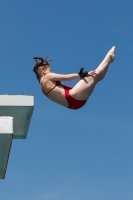 Thumbnail - 2022 - Österr. Staatsmeisterschaft - Diving Sports 03049_12399.jpg