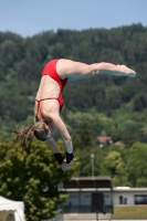 Thumbnail - 2022 - Österr. Staatsmeisterschaft - Diving Sports 03049_12506.jpg