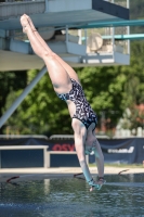 Thumbnail - 2022 - Österr. Staatsmeisterschaft - Diving Sports 03049_12614.jpg