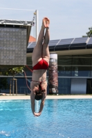 Thumbnail - 2022 - Österr. Staatsmeisterschaft - Diving Sports 03049_12778.jpg