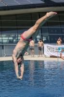 Thumbnail - 2022 - Österr. Staatsmeisterschaft - Diving Sports 03049_13502.jpg