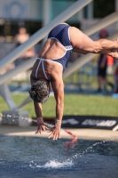 Thumbnail - Mariana Fiedler - Wasserspringen - 2022 - Österr. Staatsmeisterschaft - Teilnehmer - Masters 03049_14268.jpg