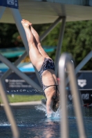 Thumbnail - 2022 - Österr. Staatsmeisterschaft - Diving Sports 03049_14707.jpg