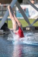 Thumbnail - Girls - Diving Sports - 2022 - Österr. Staatsmeisterschaft - Participants 03049_14731.jpg