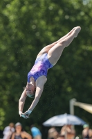 Thumbnail - Girls - Diving Sports - 2022 - Österr. Staatsmeisterschaft - Participants 03049_14749.jpg