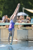 Thumbnail - Girls B - Annika Meusburger - Diving Sports - 2022 - Österr. Staatsmeisterschaft - Participants - Girls 03049_14750.jpg